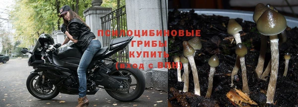 меф Новозыбков