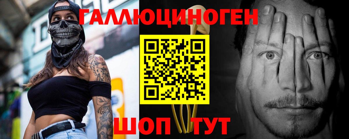 Галлюциногенные грибы Magic Shrooms  Псилоцибиновые грибы Psilocybe  Казань 